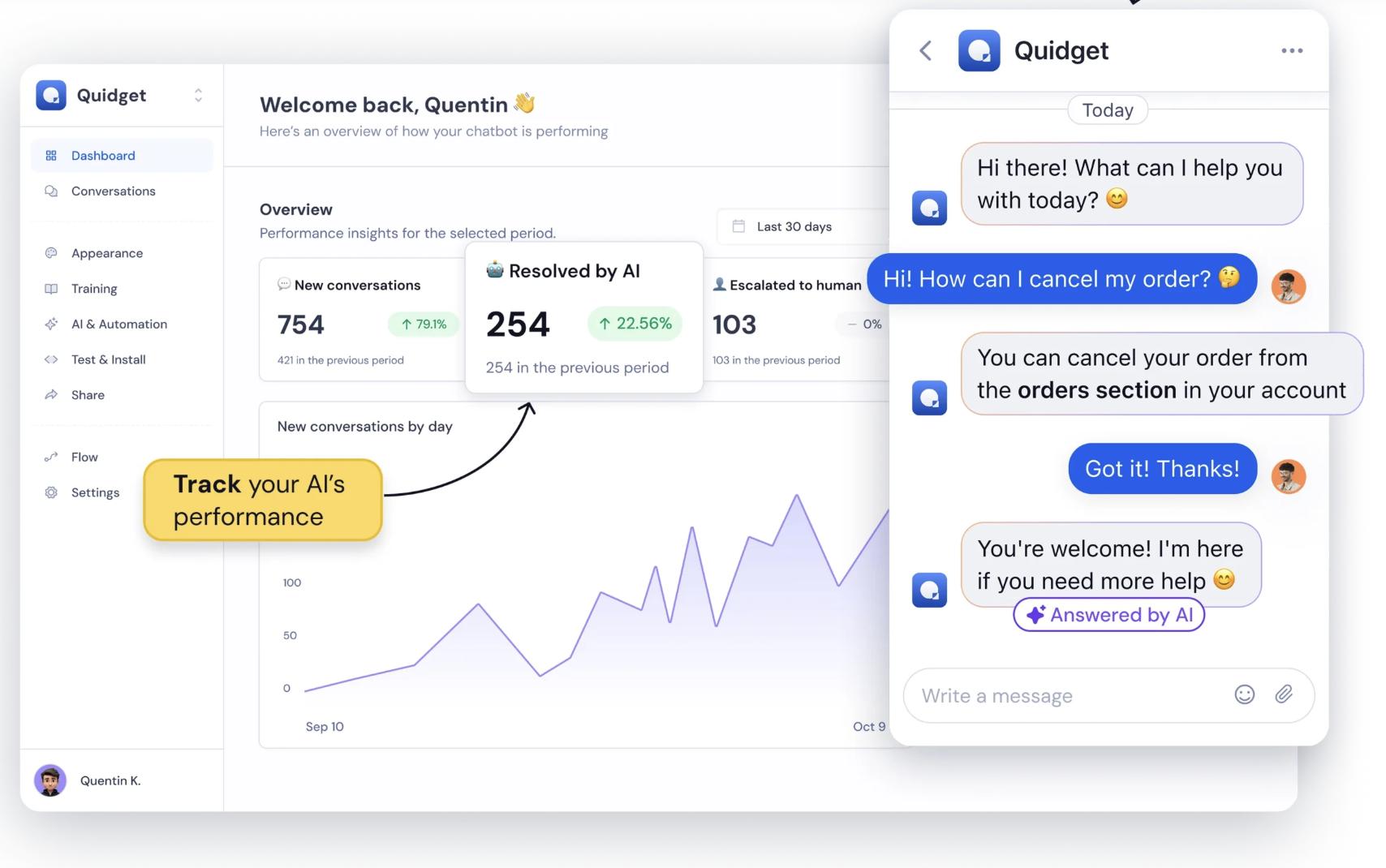 AI Chatbot and Customer Support